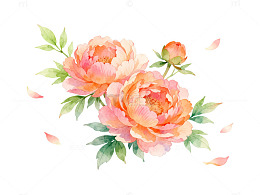 水彩风玫瑰花枝手绘花卉设计素材