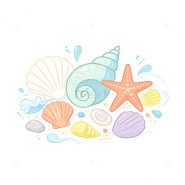 贝壳海螺 海星