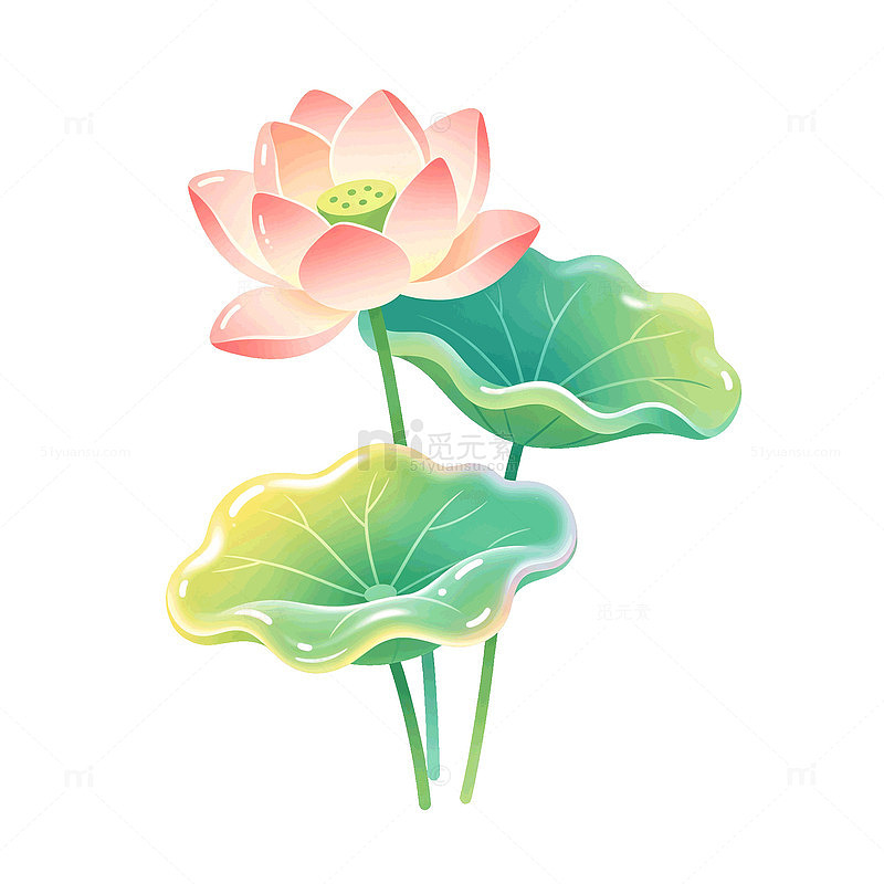 手绘风荷花荷叶渐变插画设计素材