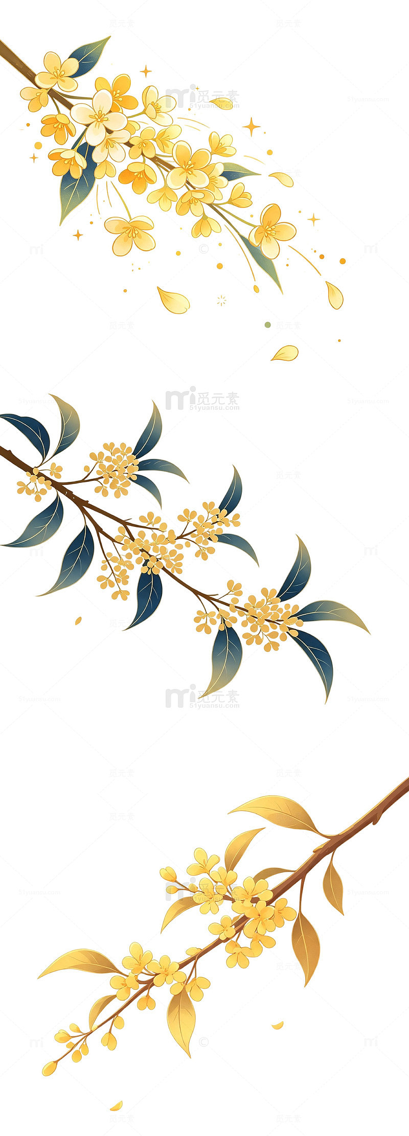 桂花枝 元素