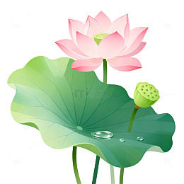 卡通风荷花荷叶插画设计素材