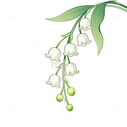 手绘风铃兰花枝植物插画素材