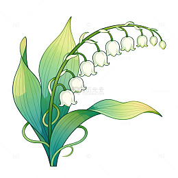 手绘风铃兰植物插画设计素材