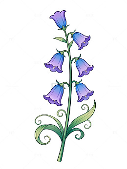 手绘风铃兰花植物插画设计素材