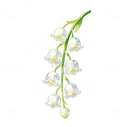 水彩风铃兰花枝手绘植物插画素材