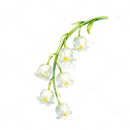 水彩风铃兰花卉手绘插画设计素材