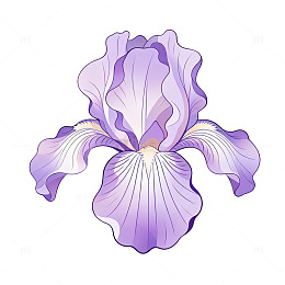 手绘风鸢尾花植物插画设计素材