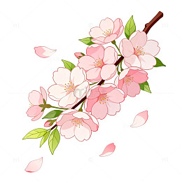 手绘风樱花枝条插画设计素材