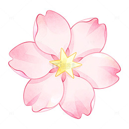 手绘风樱花花朵插画设计素材
