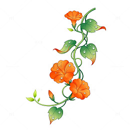 手绘风橙色藤蔓花朵装饰素材