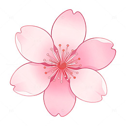 手绘风樱花花朵插画设计素材