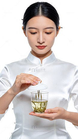 国风优雅茶艺女性摄影素材