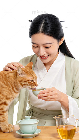国风写真女子品茶与猫互动设计素材
