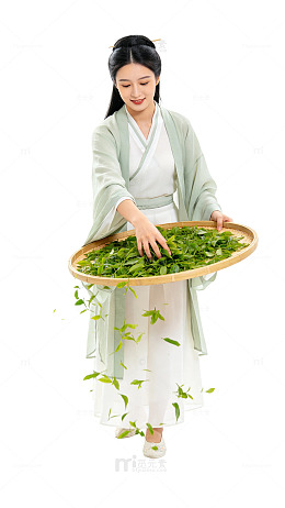 国风古装女子采茶场景设计素材