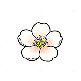 手绘风樱花花朵插画设计素材