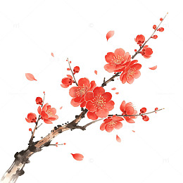 一支梅花和花瓣