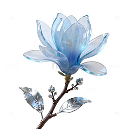 透明质感蓝色玉兰花枝设计素材