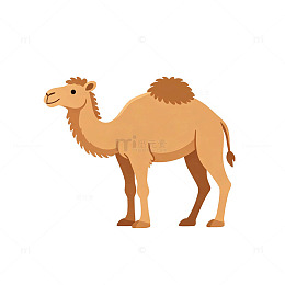 卡通风格骆驼动物插画设计素材