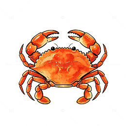 水彩风卡通螃蟹手绘插画设计素材