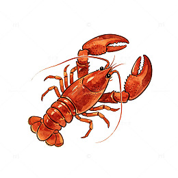 手绘风红色龙虾卡通插画设计素材