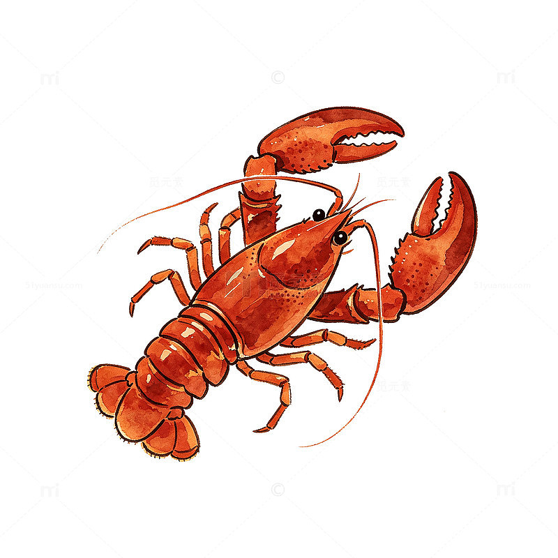 手绘风红色龙虾卡通插画设计素材