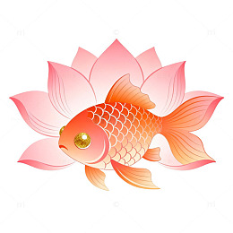 国风手绘锦鲤莲花插画设计素材