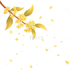桂花 桂花花瓣 中秋花