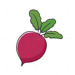 萝卜青菜新鲜蔬菜食物卡通插画元素