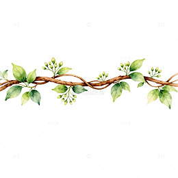 水彩风绿叶藤蔓手绘植物边框设计素材