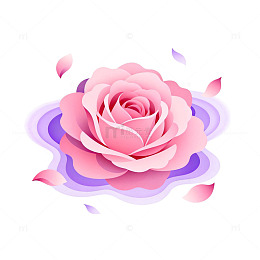渐变风粉色玫瑰花瓣插画设计素材