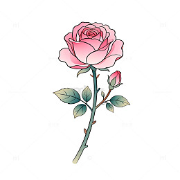 手绘风粉色玫瑰花植物插画素材