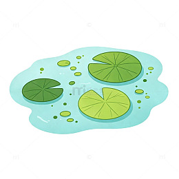 浮萍睡莲叶 湖面植物 静湖细