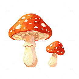 手绘风蘑菇森林插画设计素材