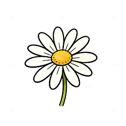 卡通风格雏菊花朵插画设计素材