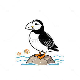 卡通风格海鹦鹉岩石插画设计素材