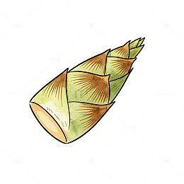 手绘风竹笋植物插画设计素材
