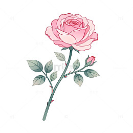 手绘风粉色玫瑰花卉插画素材