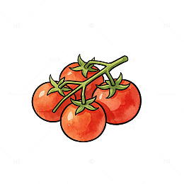 手绘风新鲜一串番茄果实插画素材