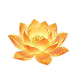 金色莲花设计素材