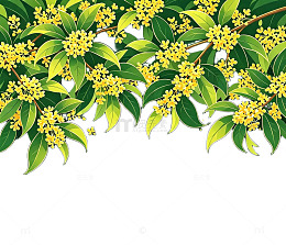 中秋桂花免扣素材