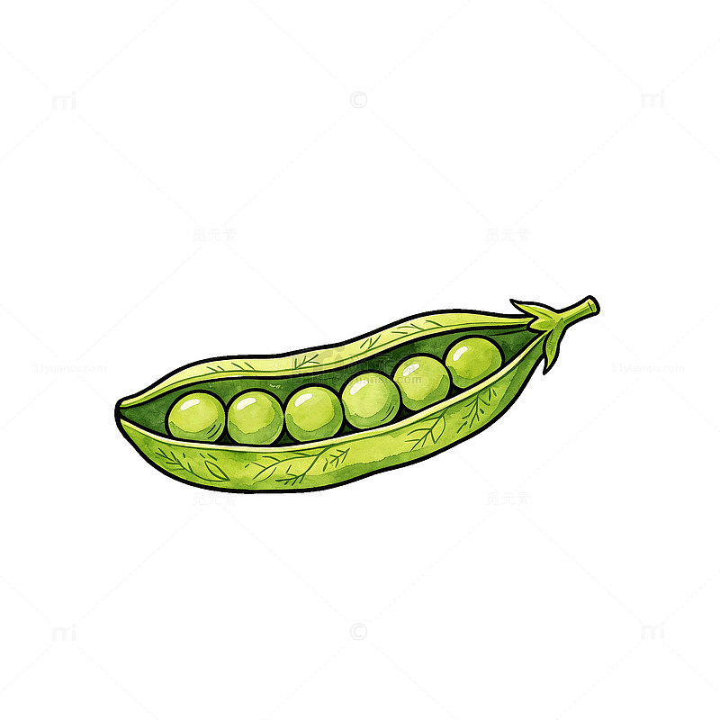 手绘风豌豆荚绿色蔬菜插画素材