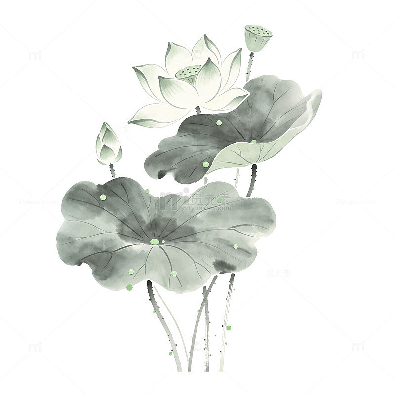 水墨风荷花荷叶手绘植物设计素材免抠