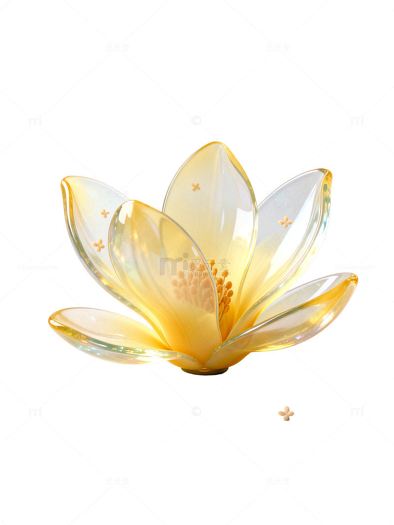 玻璃质感玉兰花透明艺术设计素材