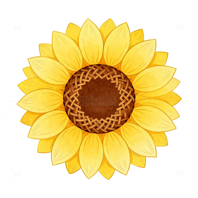 手绘风向日葵花朵插画设计素材