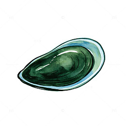 水彩风海鲜青口贝手绘插画设计素材