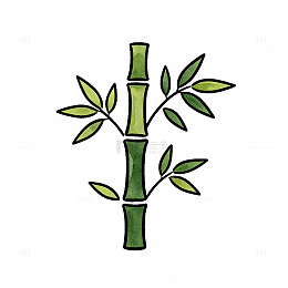 手绘风竹子植物插画设计素材