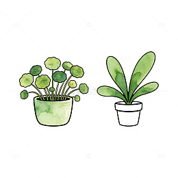 手绘风盆栽铜钱草绿植插画设计素材