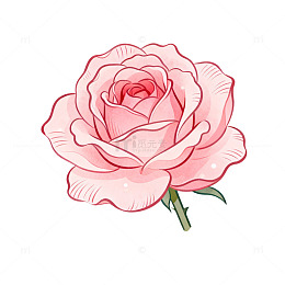 手绘风粉色玫瑰花卉插画素材