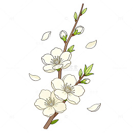 手绘风樱花枝条花卉插画设计素材