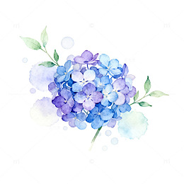水彩风绣球花手绘花卉设计素材